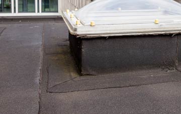 disadvantages of Borth Y Gest flat roofs